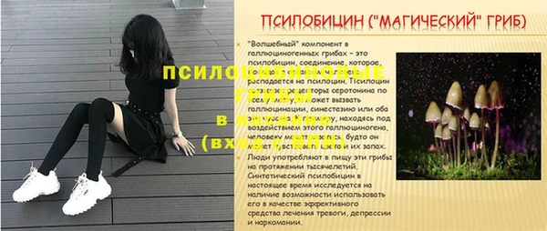 молекула духа Магас