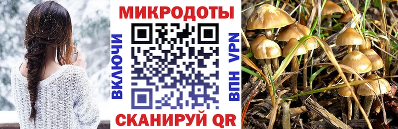 Купить закладки Исилькуль Псилоцибиновые грибы мухоморы
